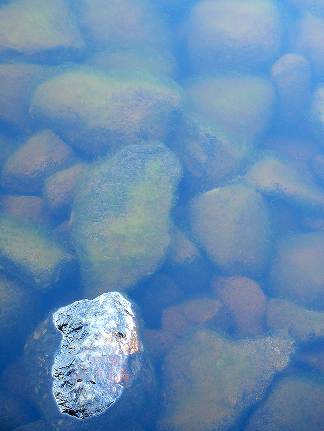Järvenpohjassa olevat kivet. Yksi kivistä on vedenpinnan yläpuolella. Se on valkeaharmaa ja näyttää jonkinlaisilta kasvoilta, esimerkiksi koiran kasvoilta. Muut kivet ovat vedenpinnan alapuolella ja ne ovat levän vihreitä tai ruskeita.